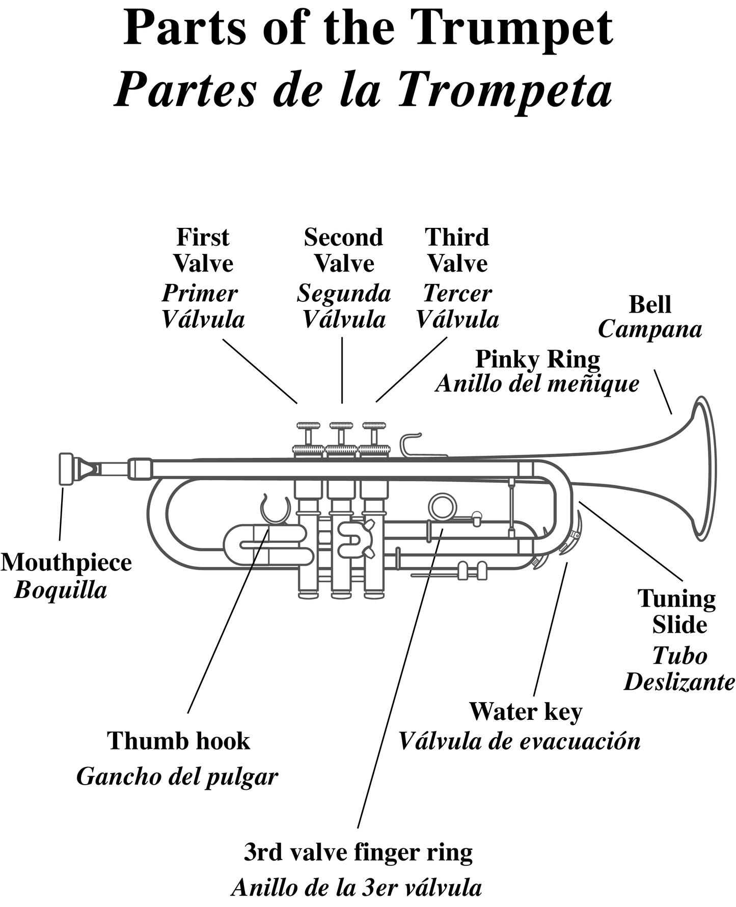 Book - My First Trumpet