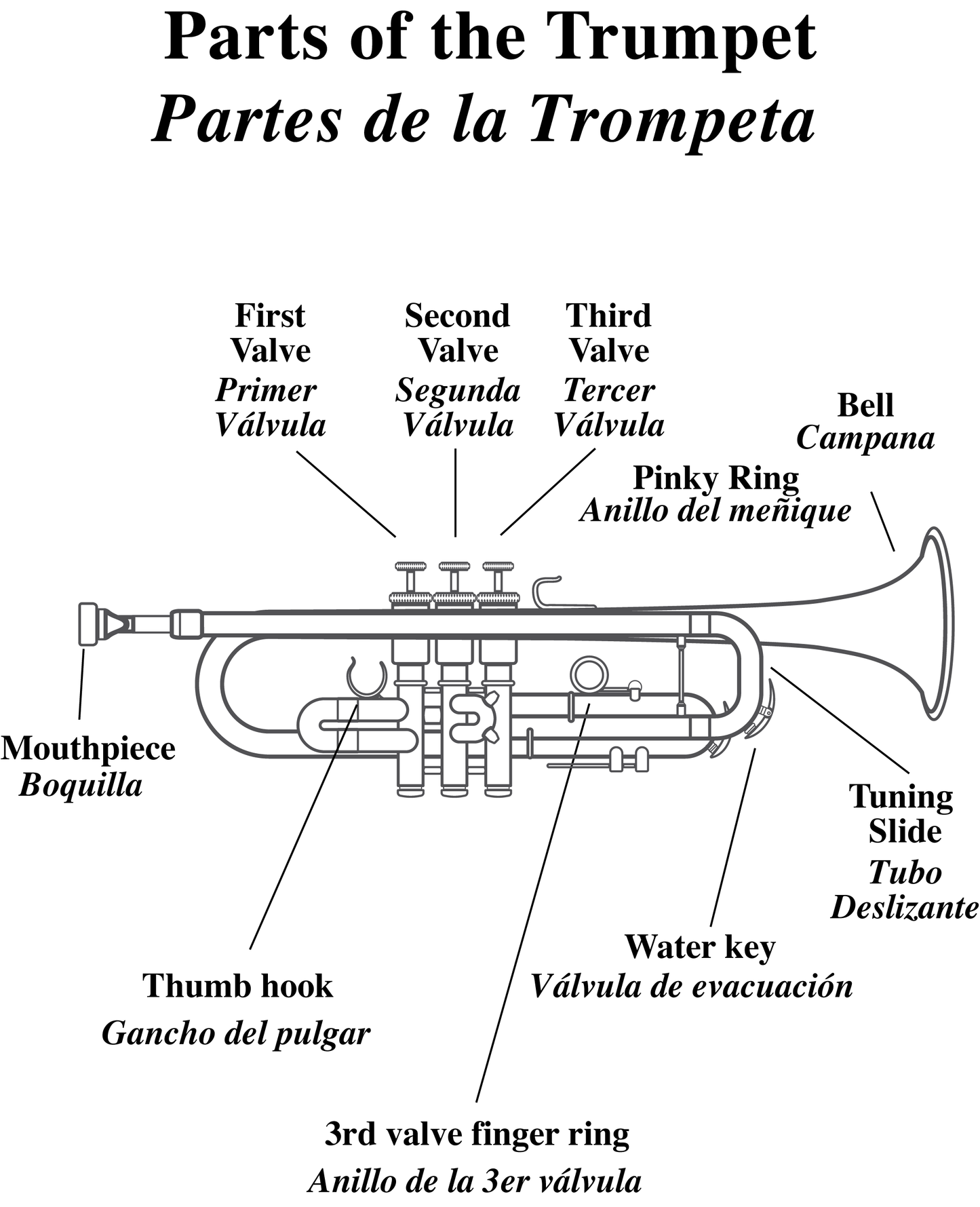 Digital Book -My First Trumpet Book Digital